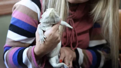 thumbnail - S1:E6 Dragon My Feet