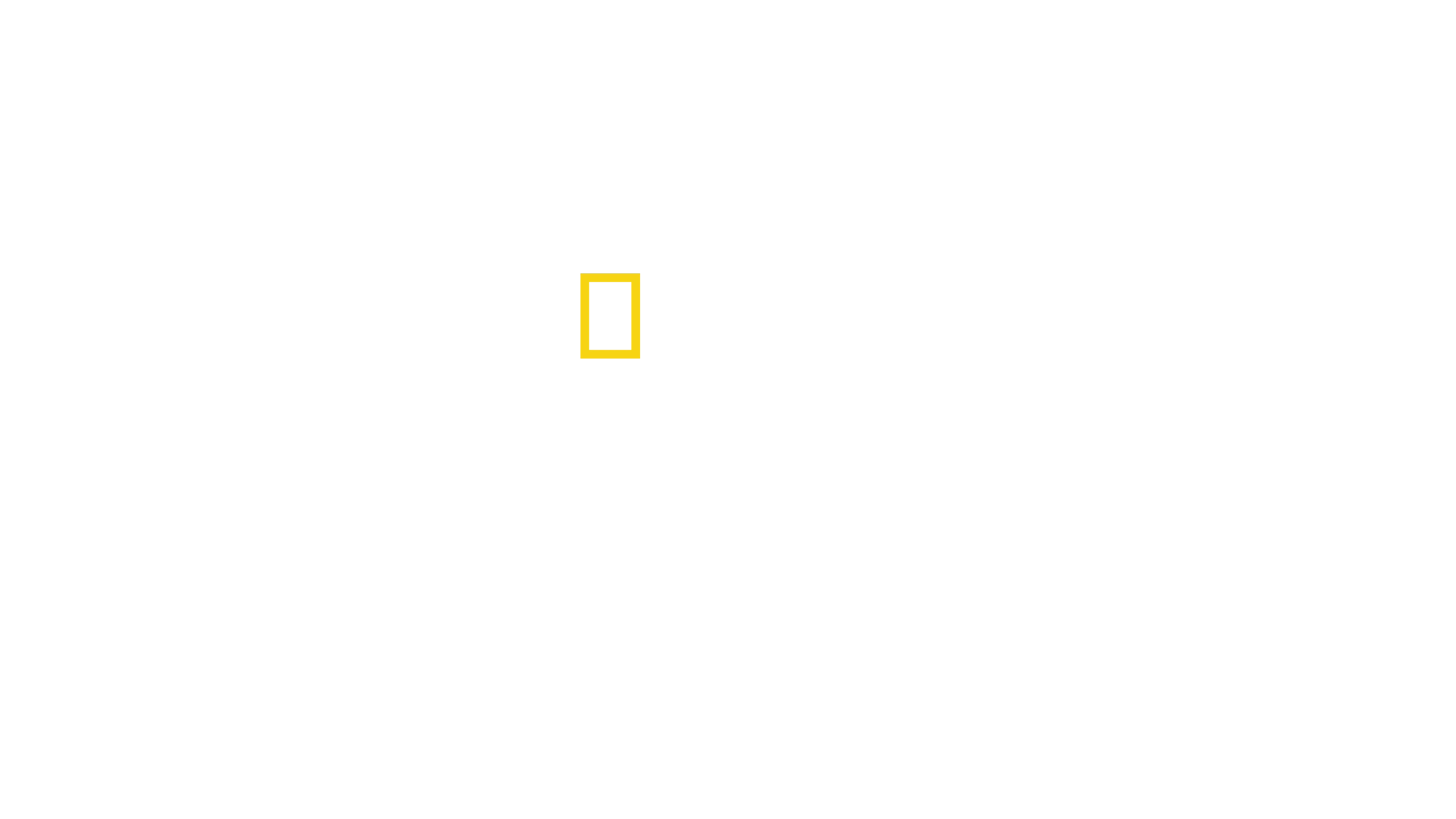 Înainte de potop