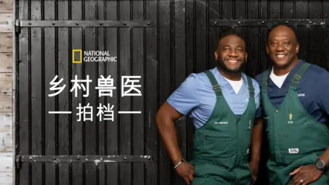 thumbnail - 《乡村兽医拍档》