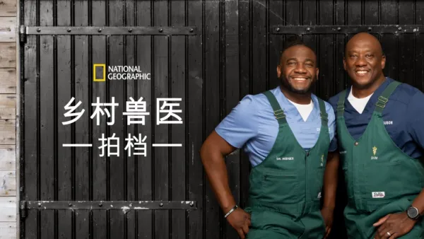 thumbnail - 《乡村兽医拍档》
