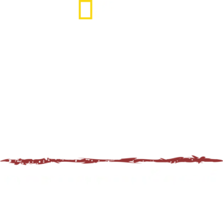Umění přežít: Dobrodružství v Amazonii
