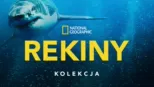 thumbnail - National Geographic – Rekiny