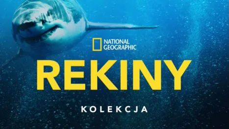 thumbnail - National Geographic – Rekiny