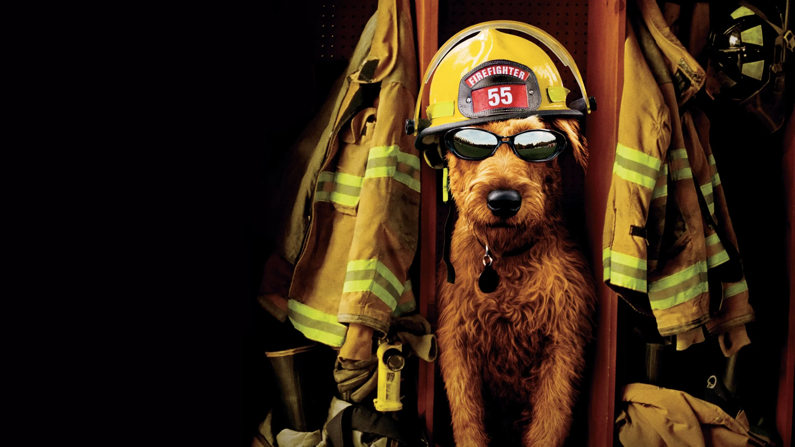 Firehouse Dog