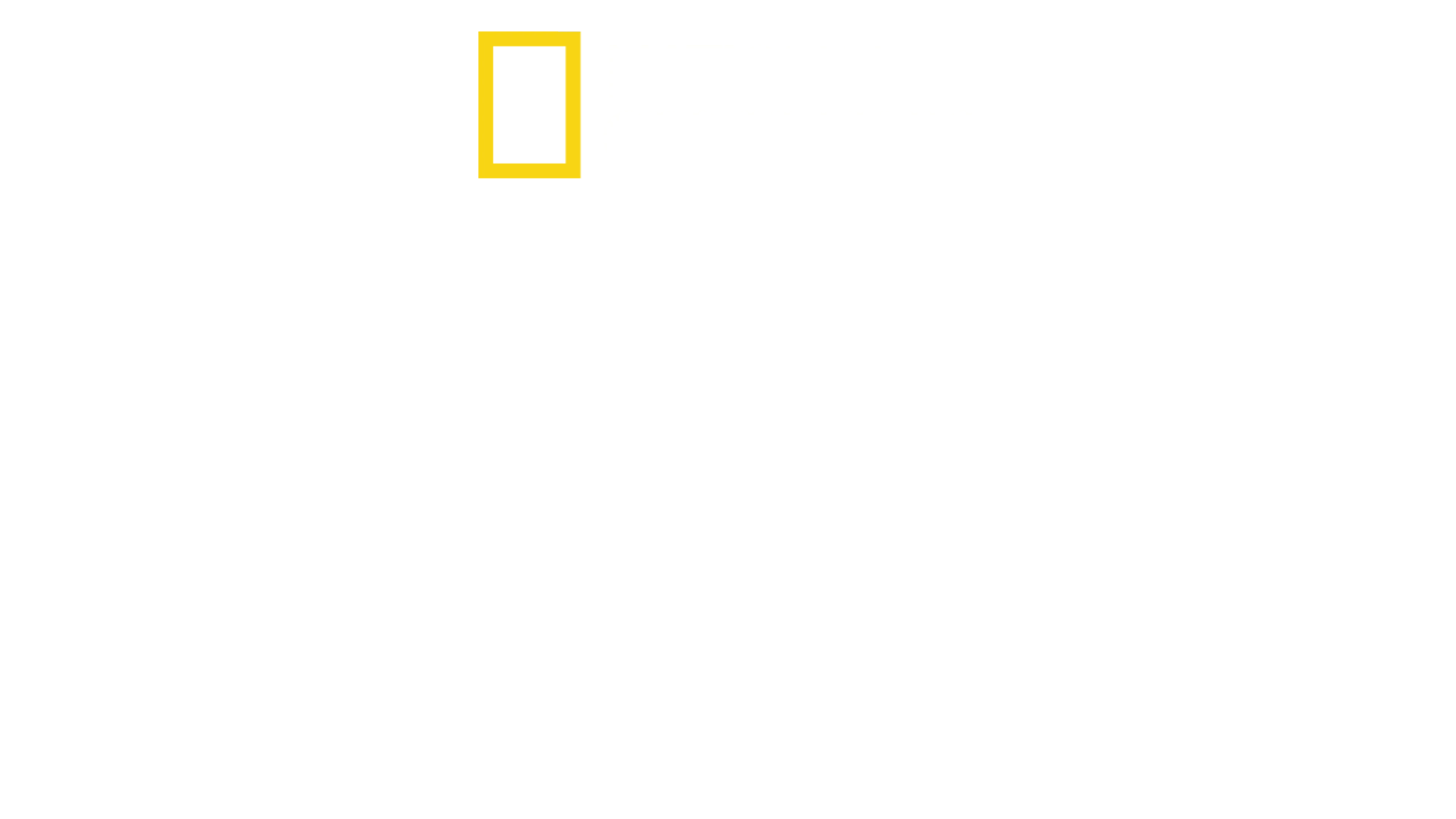 盖尔·加朵之女力故事