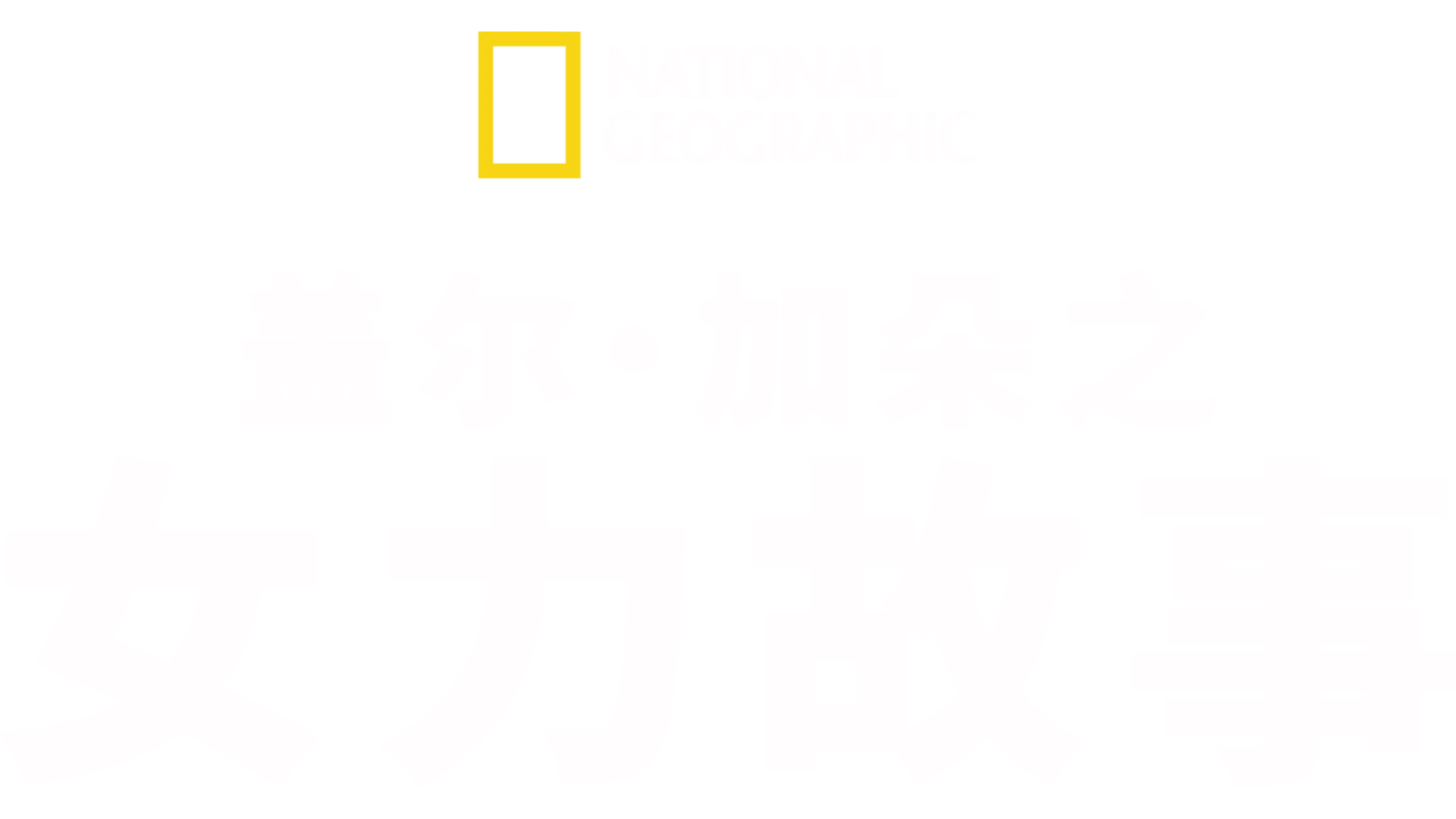 盖尔·加朵之女力故事