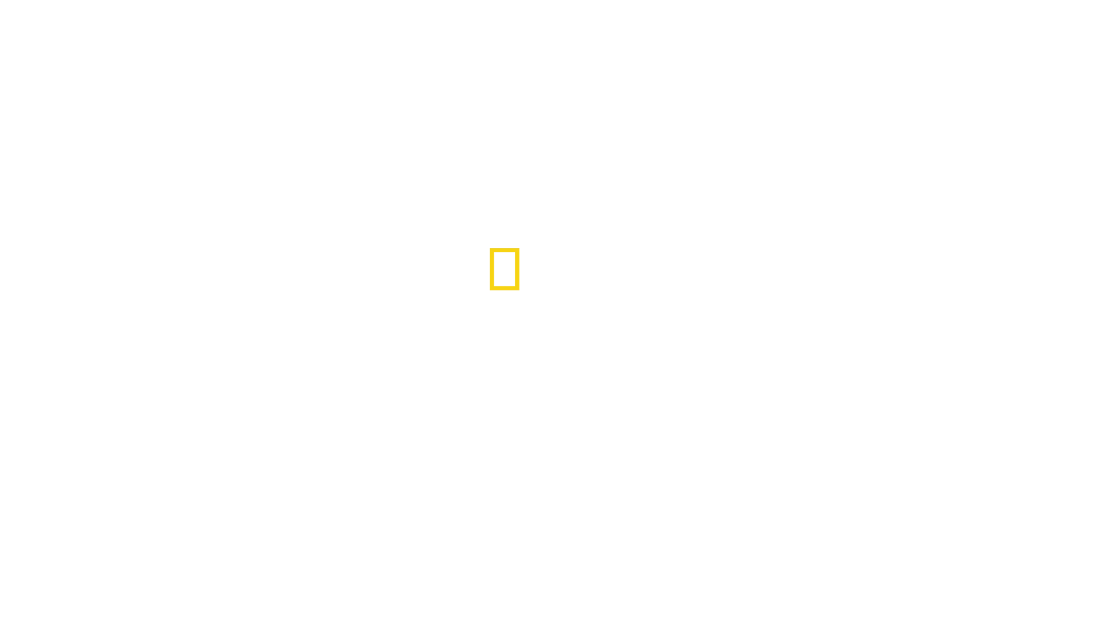 Köpekbalıklarının Ziyafeti