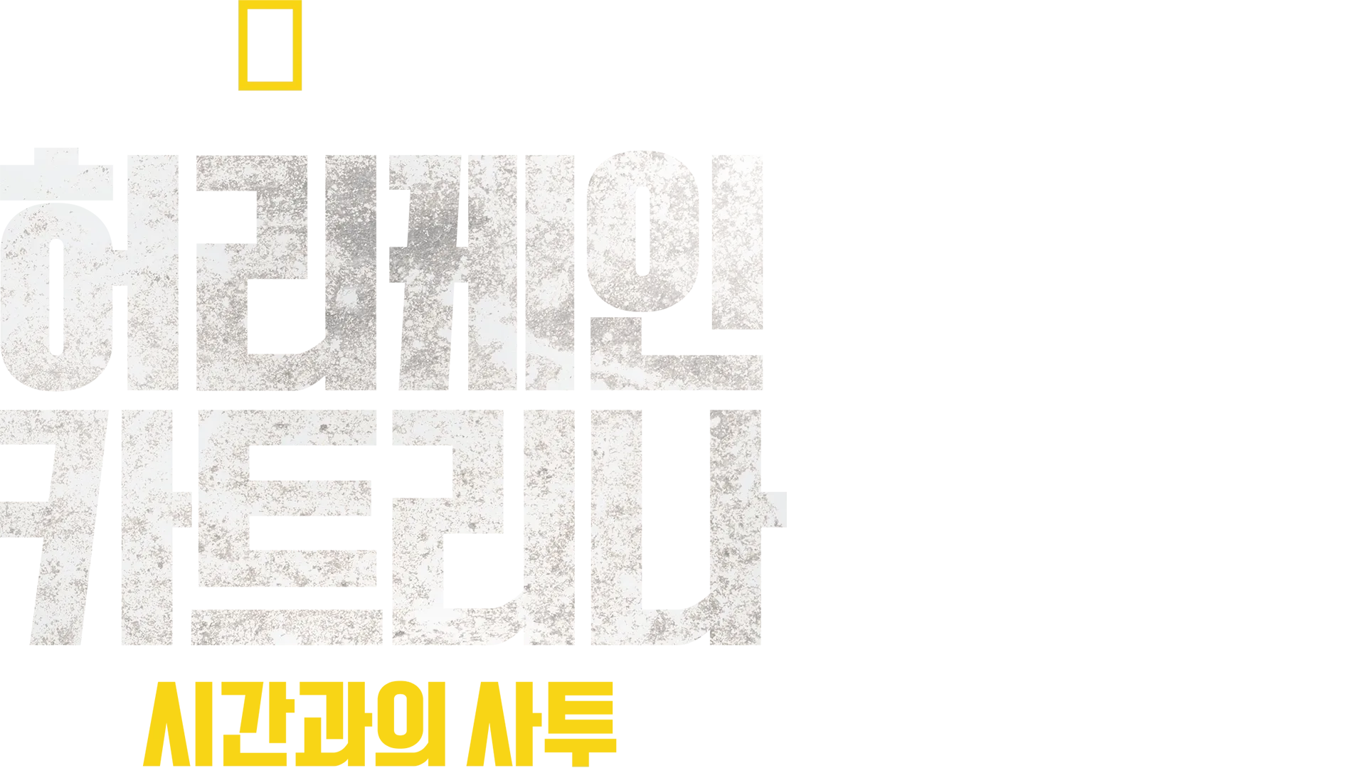 허리케인 카트리나: 시간과의 사투