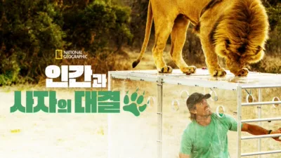 인간과 사자의 대결