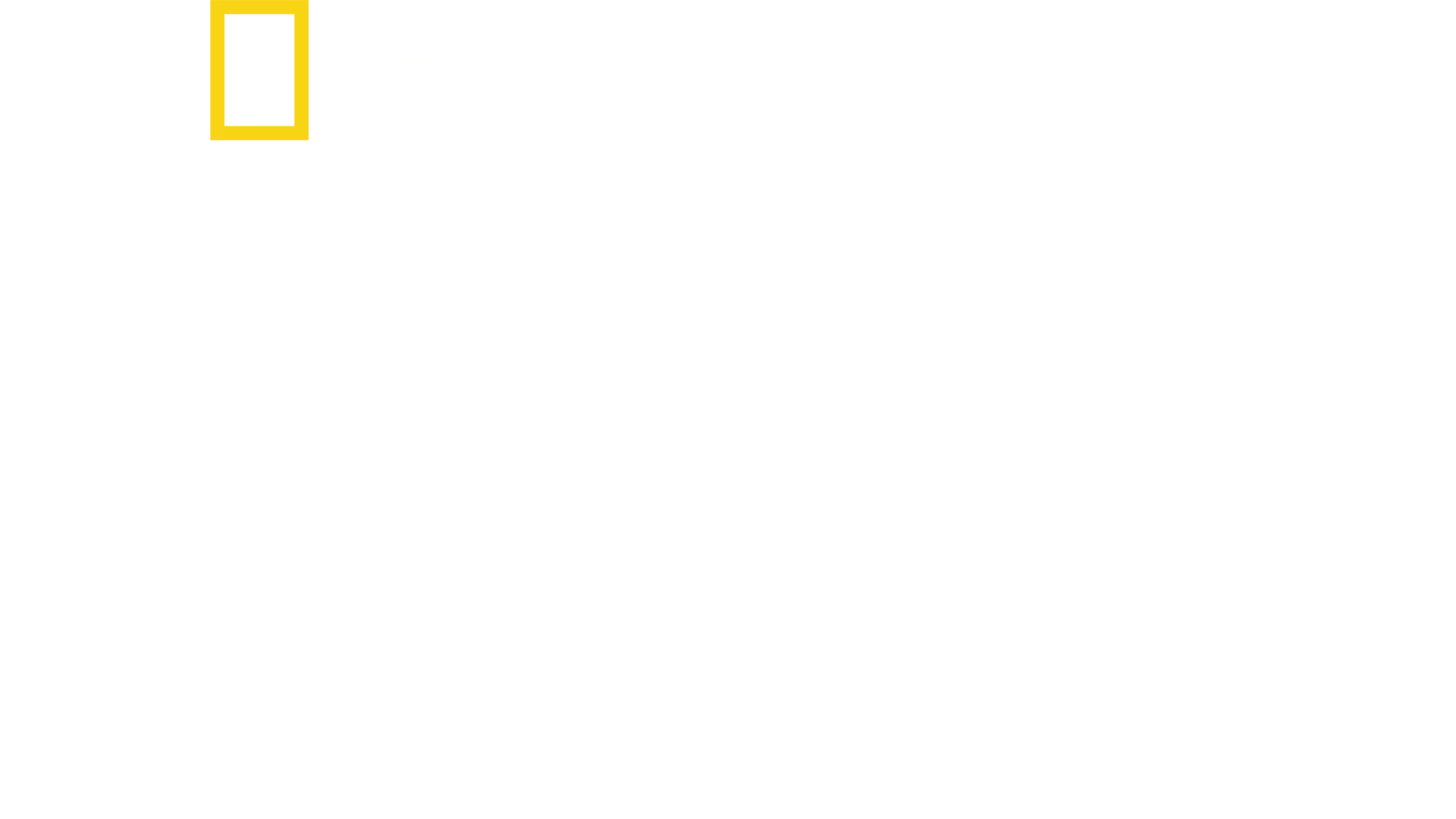 Paradise: Kaupungin nousu tuhkasta