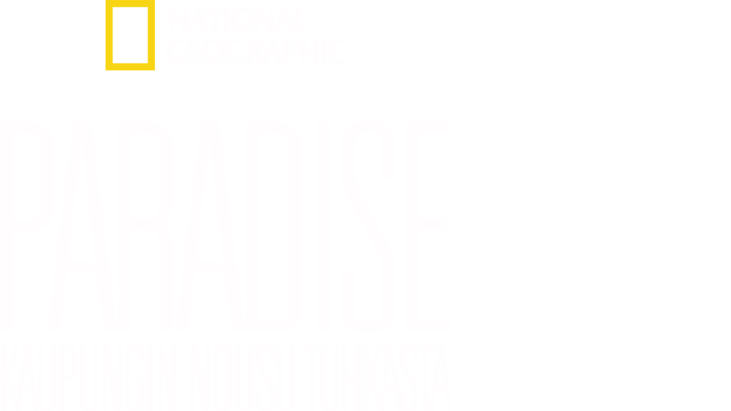 Paradise: Kaupungin nousu tuhkasta