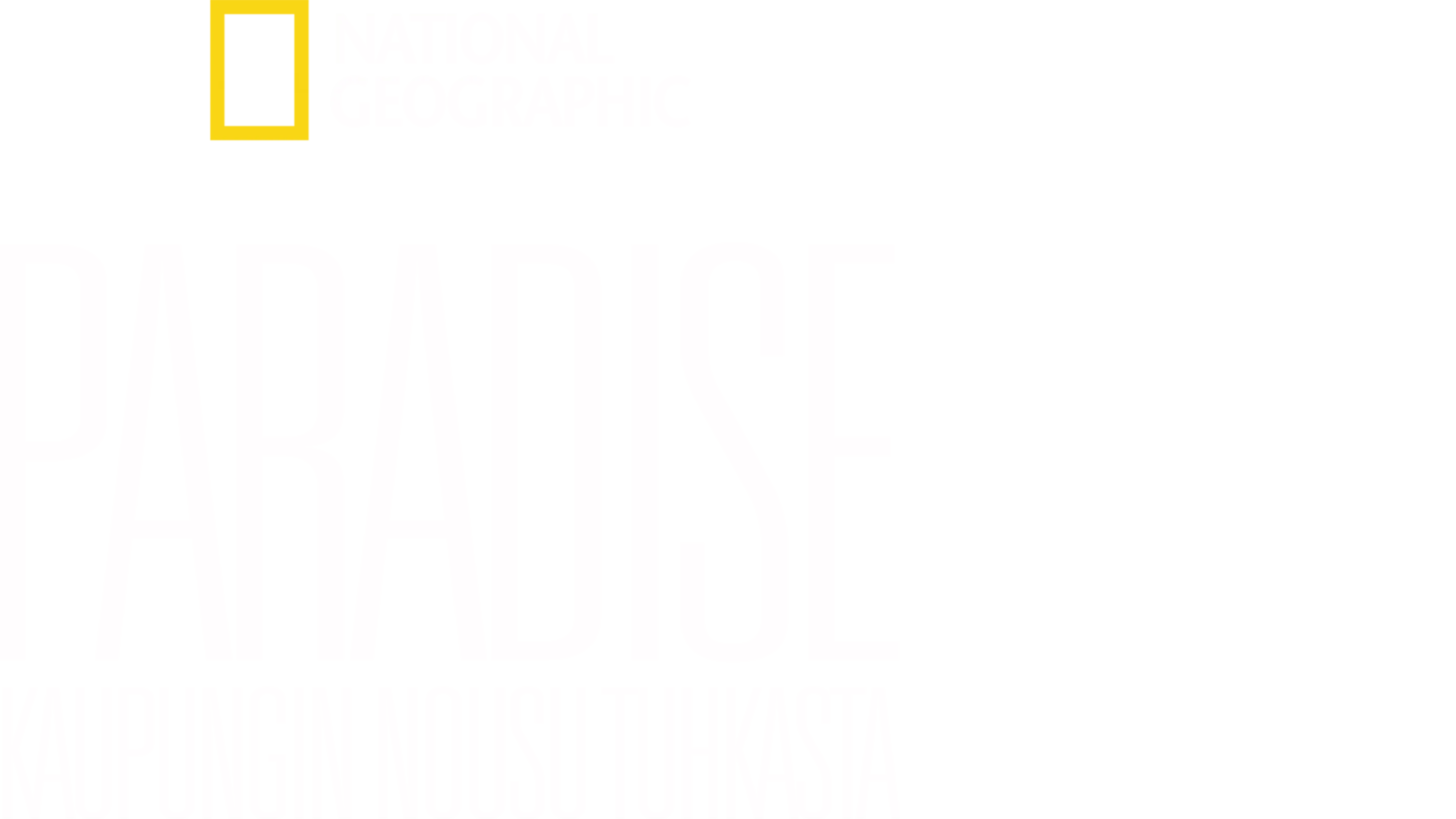 Paradise: Kaupungin nousu tuhkasta