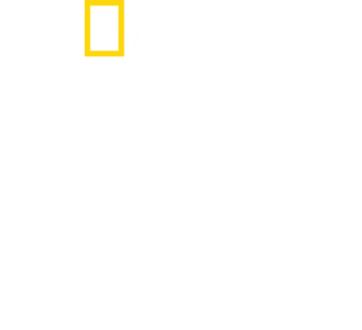 Paradise: Kaupungin nousu tuhkasta