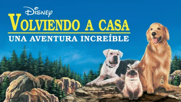 thumbnail - Volviendo a casa: Una aventura increíble
