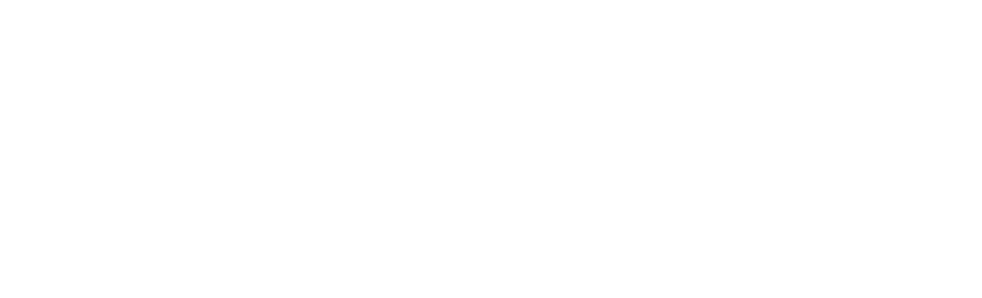 신듀얼리티 느와르