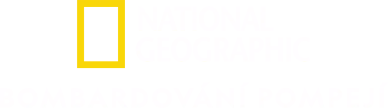 Bombardování Pompejí