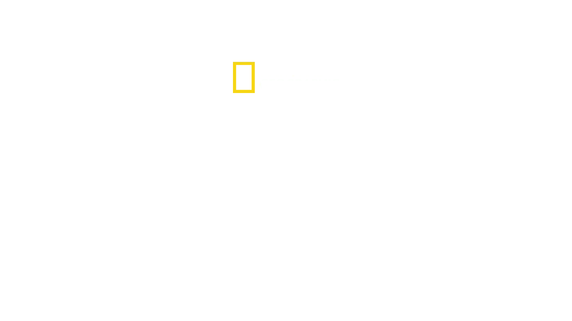 Port Security: Hamburg