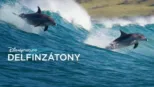 thumbnail - Delfinzátony
