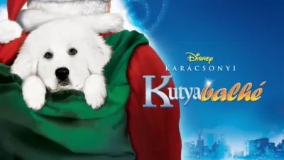 Karácsonyi kutyabalhé