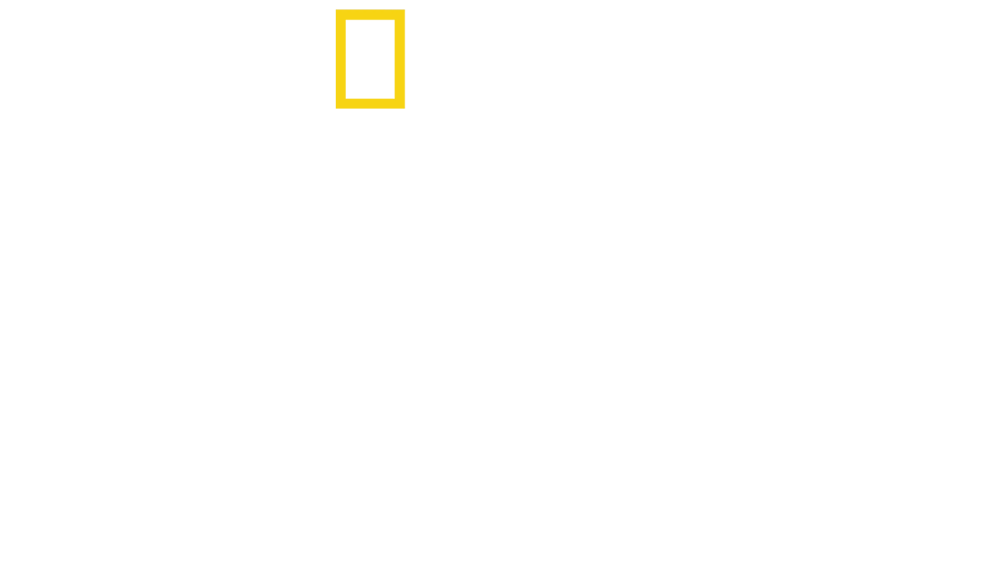 헤이즌 아델의 생존의 법칙