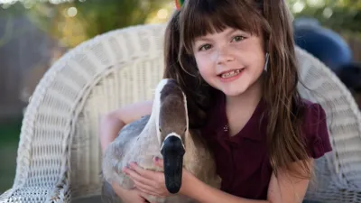 thumbnail - S1:E6 Jasper, Terry, and Gumbo