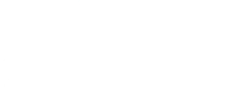 Muslim Matchmaker