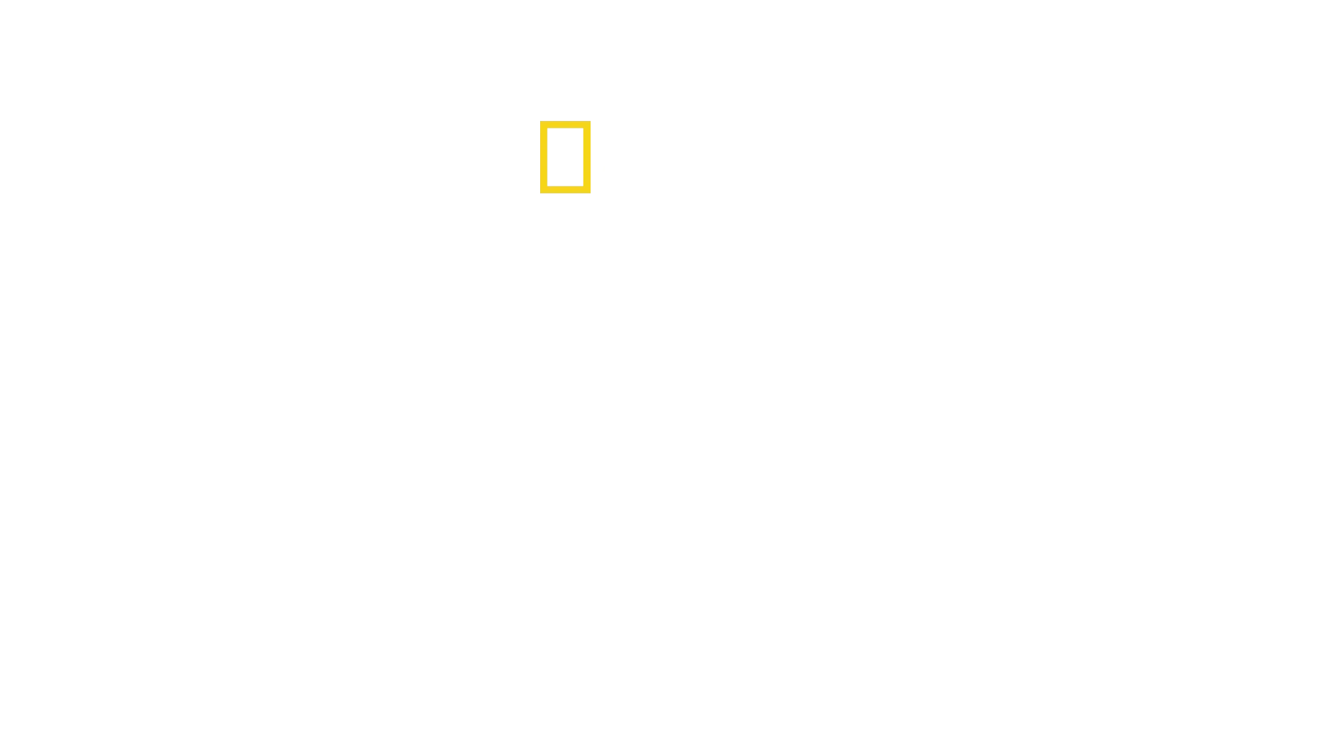 Operation Arctic Cure