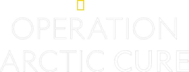 Operation Arctic Cure