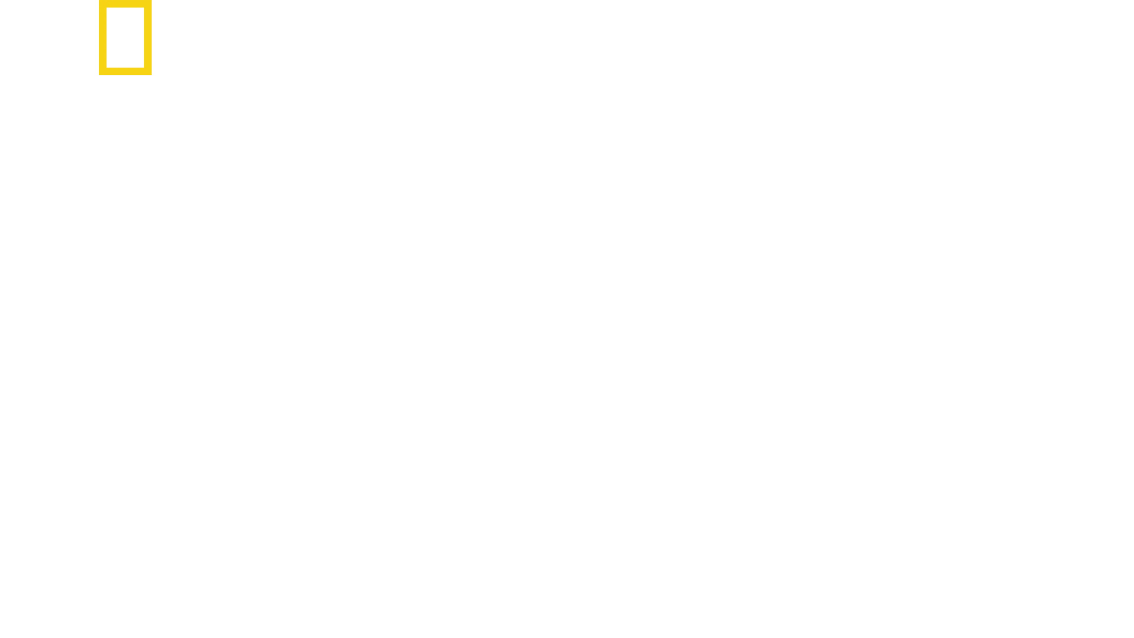 世界名鲨