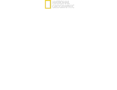 Hitlers krig mot pressen