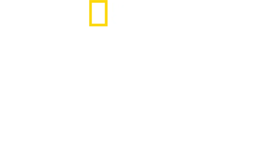 헤이즌 아델의 생존의 법칙