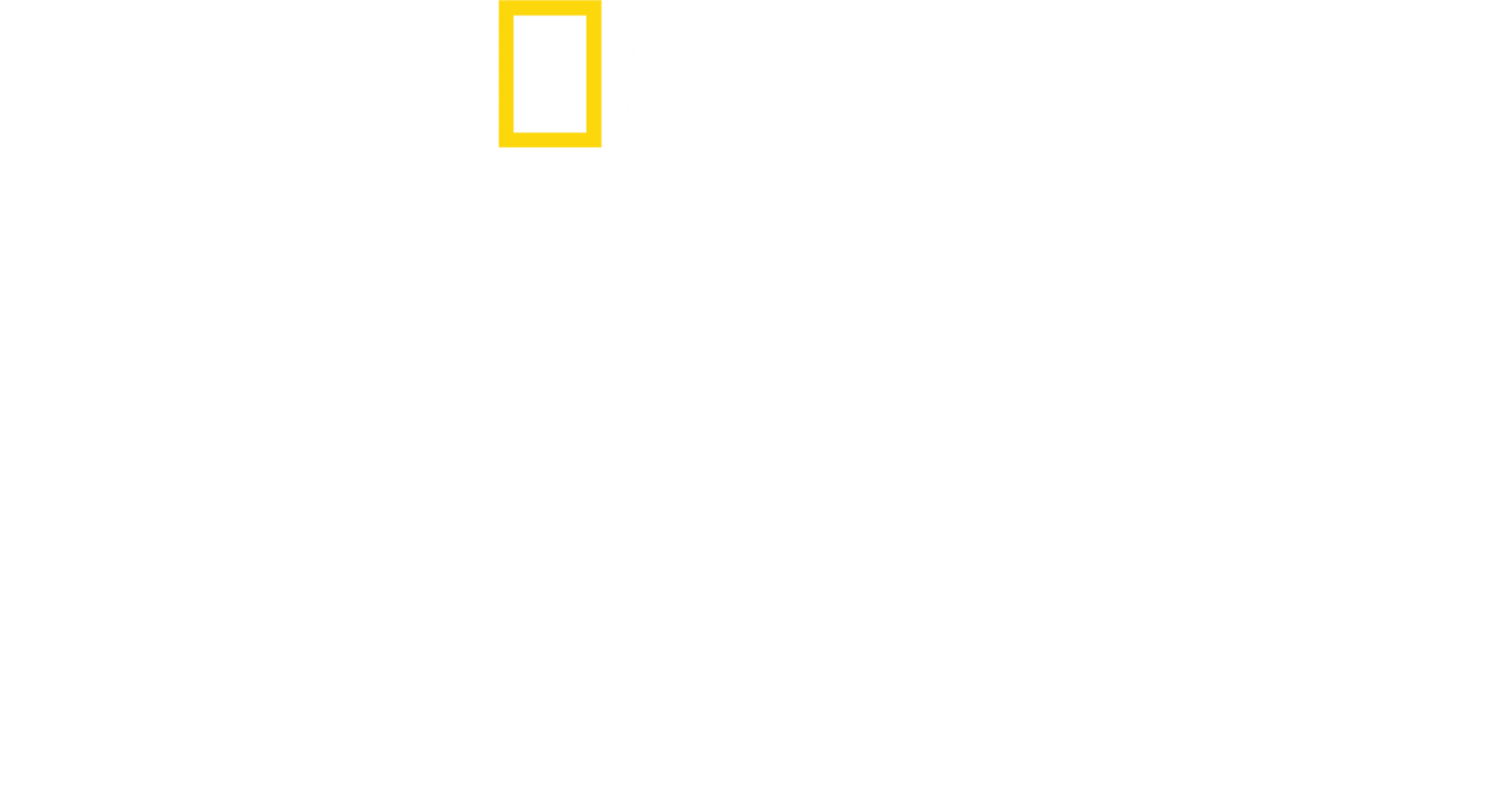 헤이즌 아델의 생존의 법칙