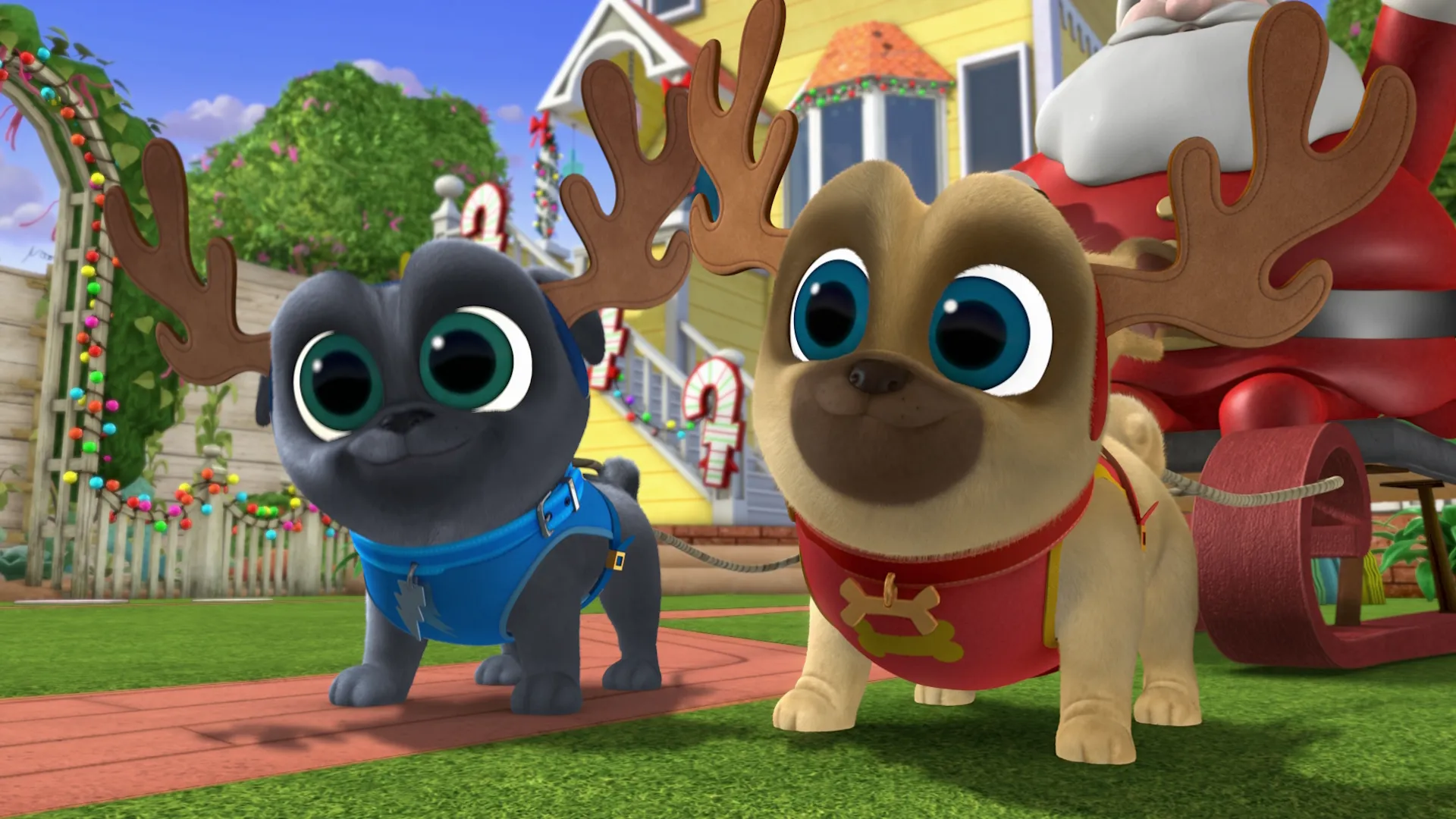 Bingo and Rolly dressed up as Santa's reindeer