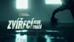 thumbnail - Zvířecí klub rváčů