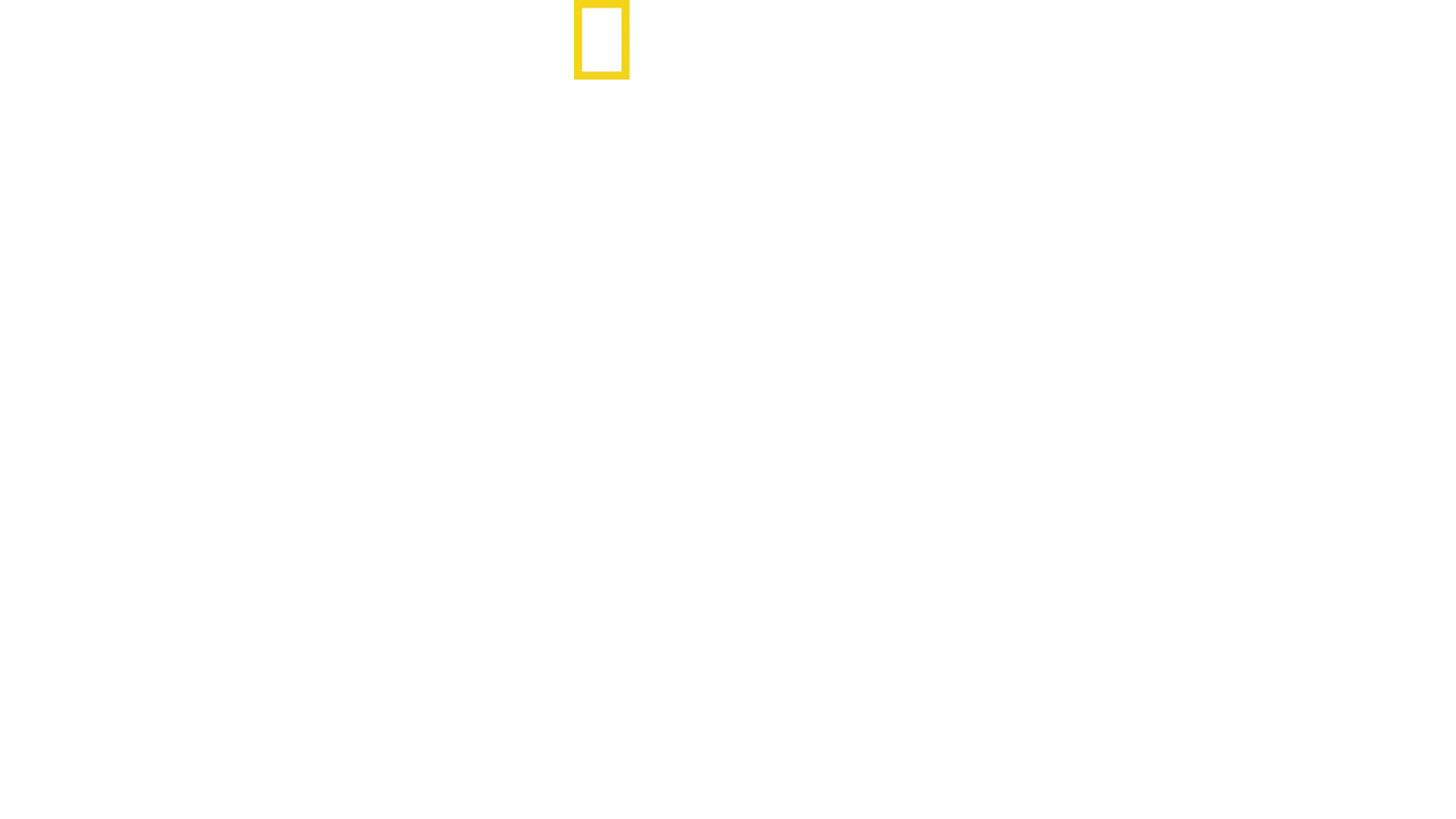 WW2 Hell Under the Sea