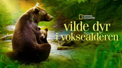 Vilde dyr i voksealderen