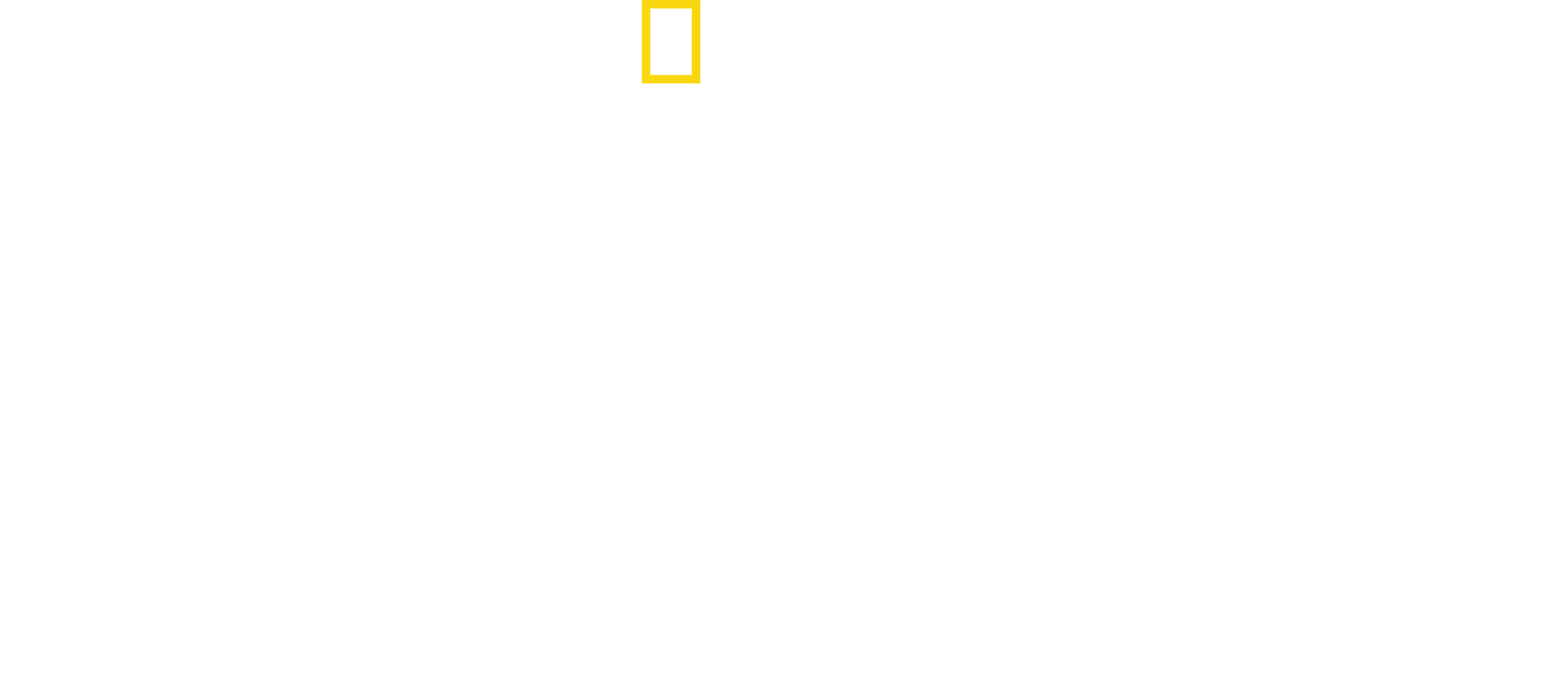 Bobi Wine: Prezident ugandského lidu