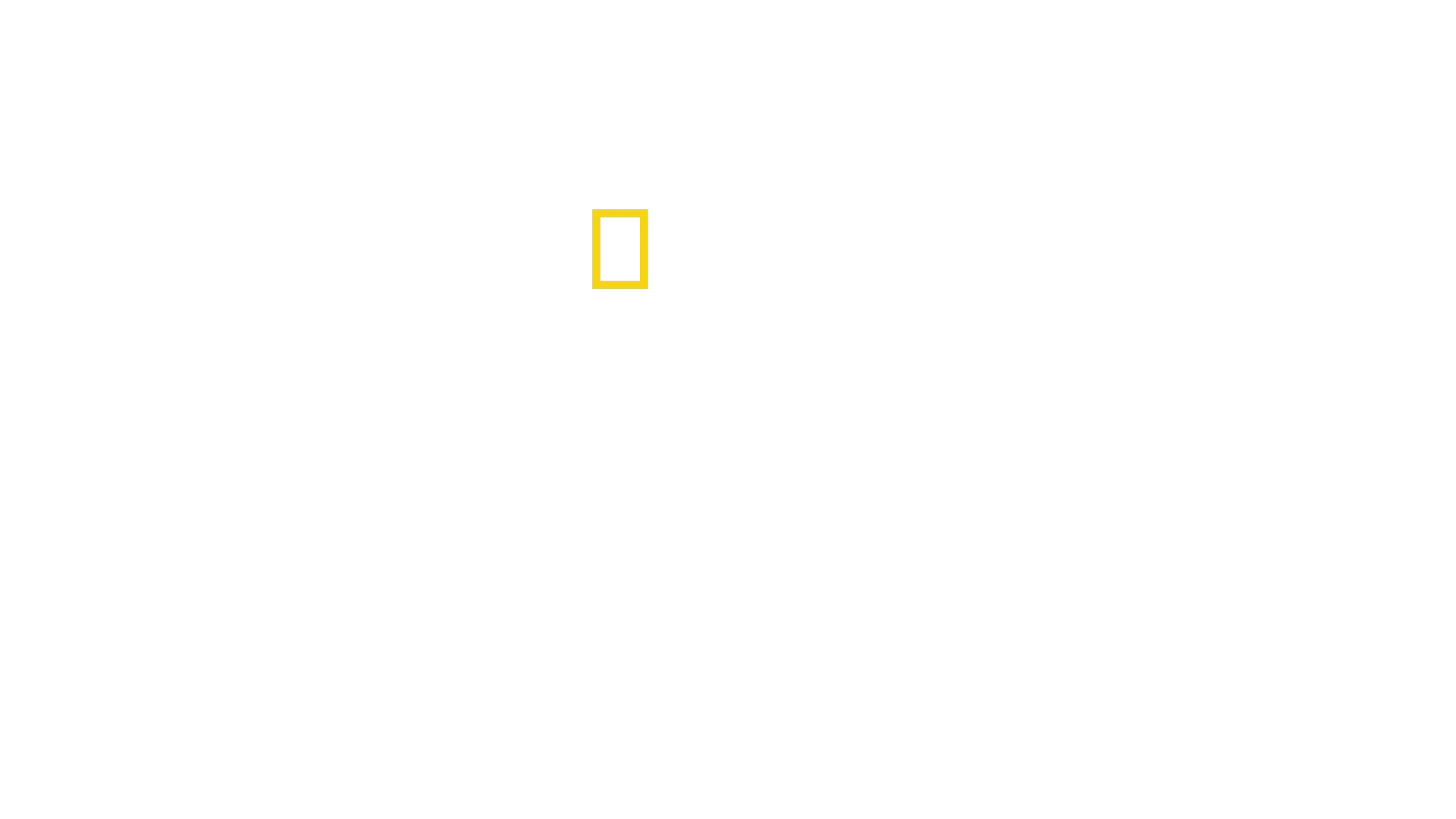Europa blir til