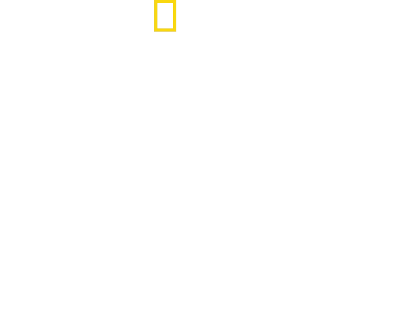 Requin vs Surfeur