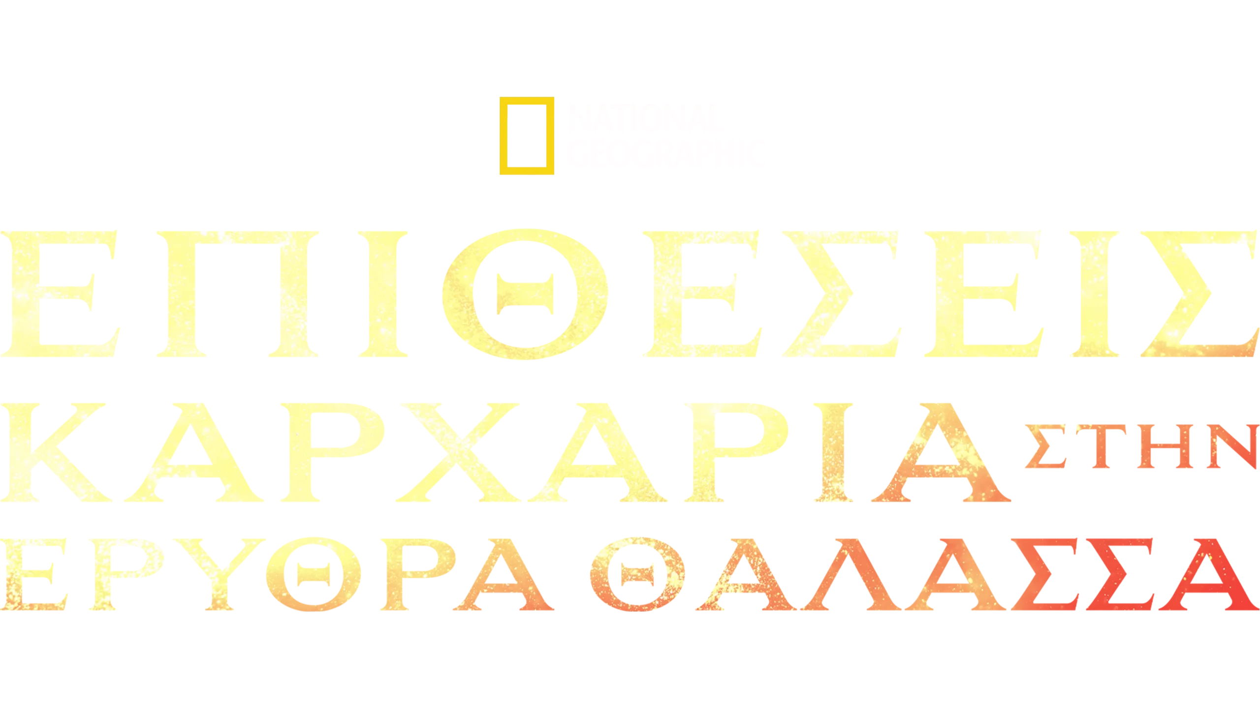 Επιθέσεις Καρχαρία στην Ερυθρά Θαλασσα