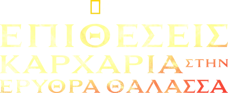 Επιθέσεις Καρχαρία στην Ερυθρά Θαλασσα