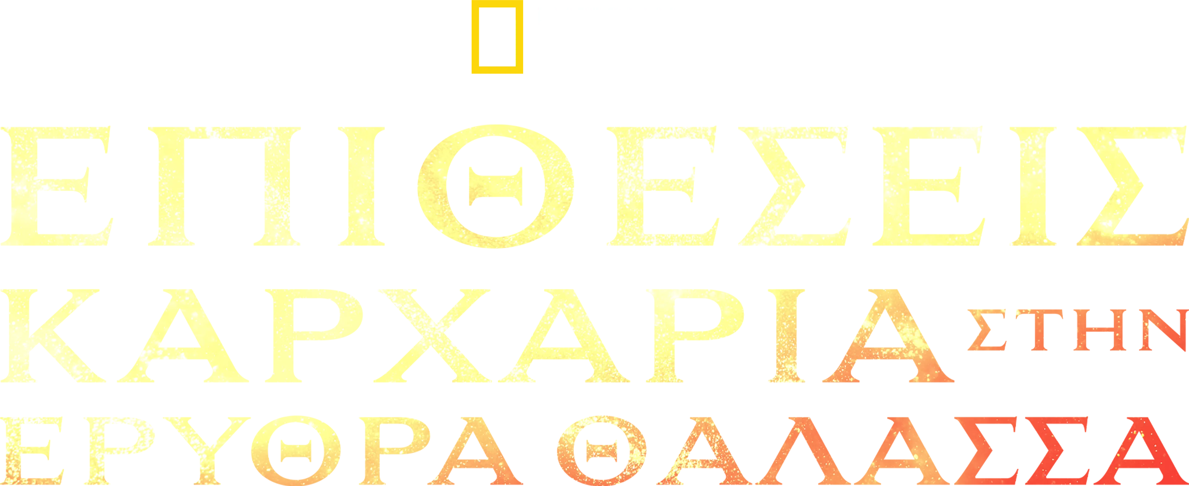 Επιθέσεις Καρχαρία στην Ερυθρά Θαλασσα