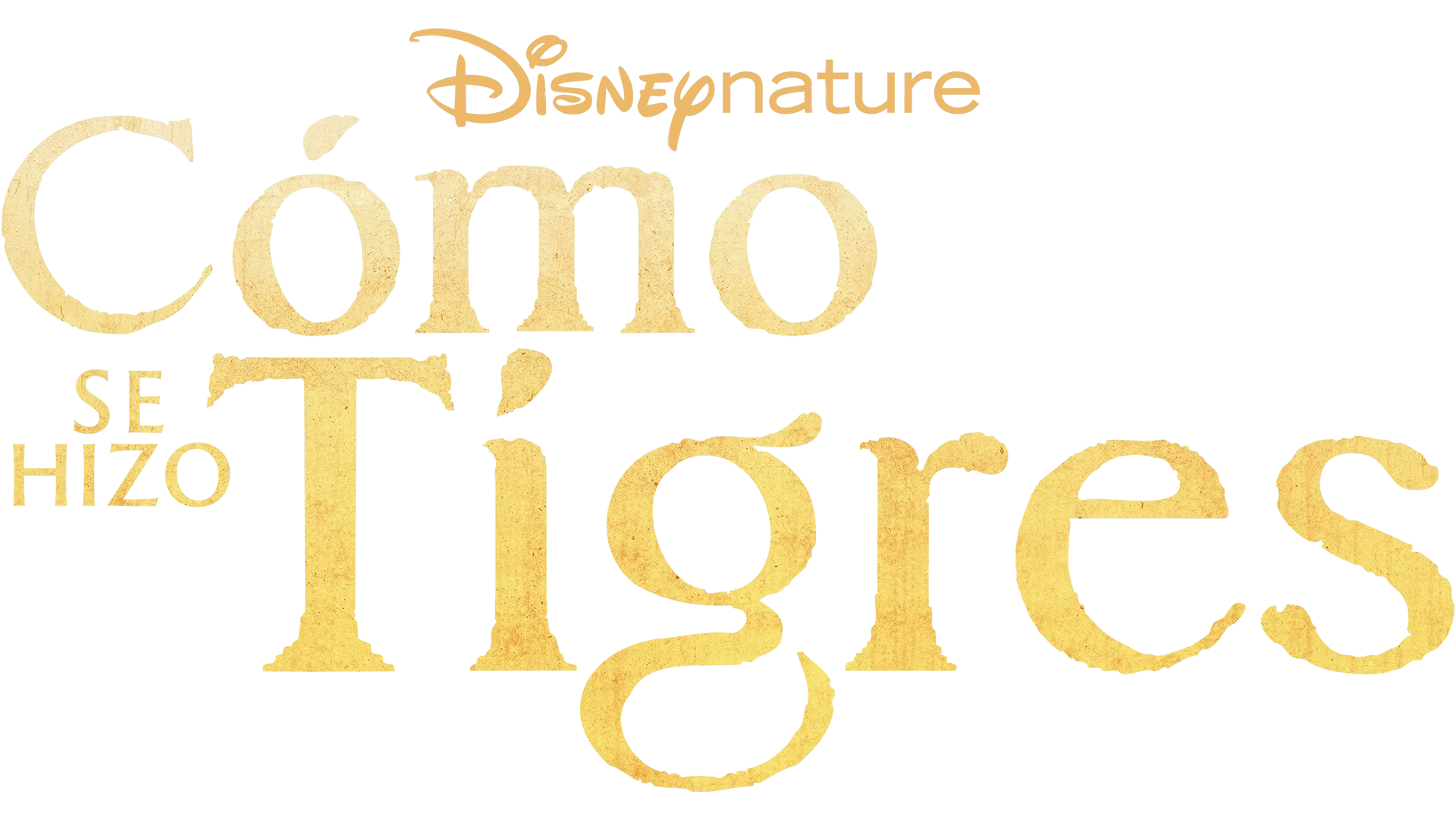 El resurgir de los tigres