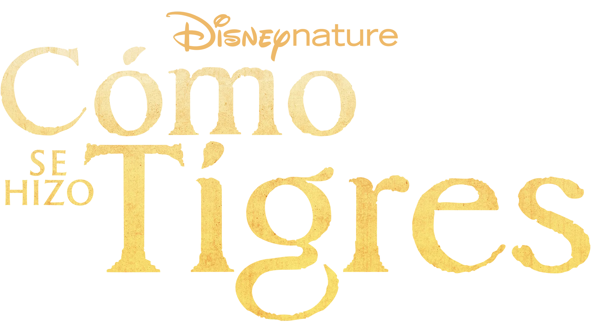 El resurgir de los tigres