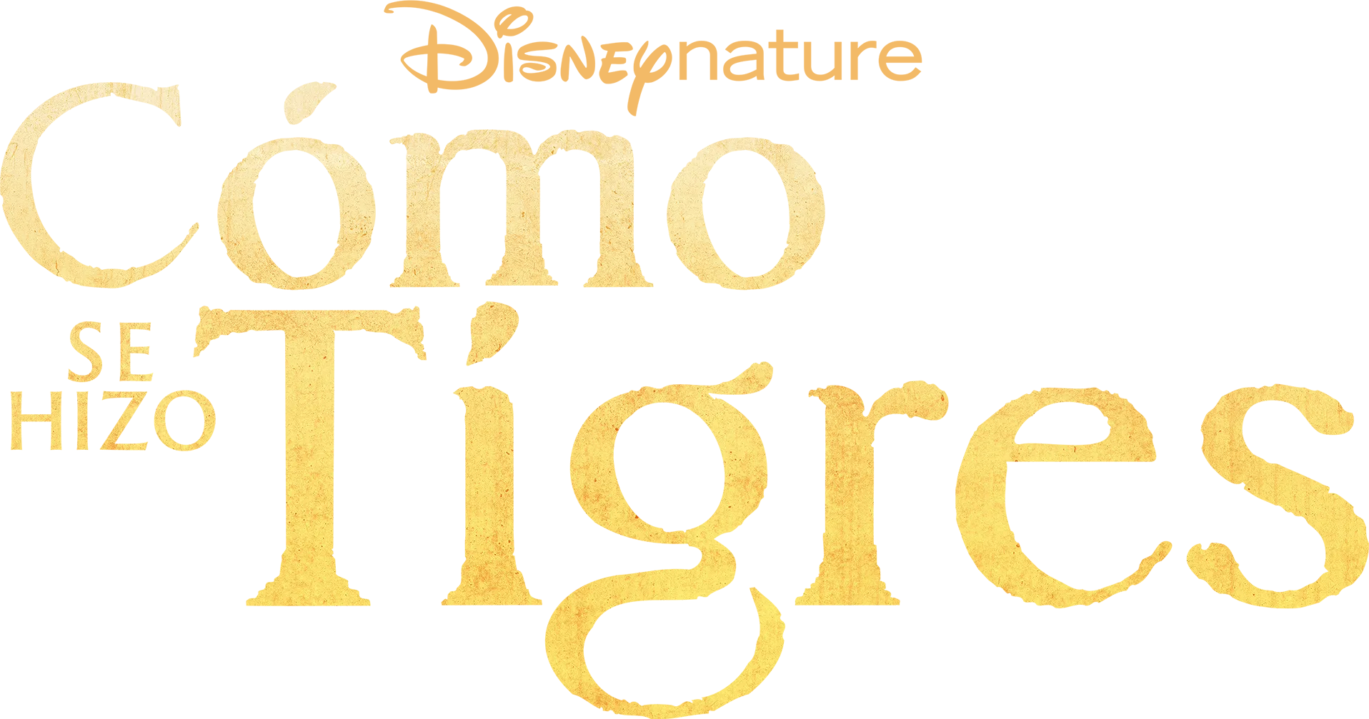 El resurgir de los tigres