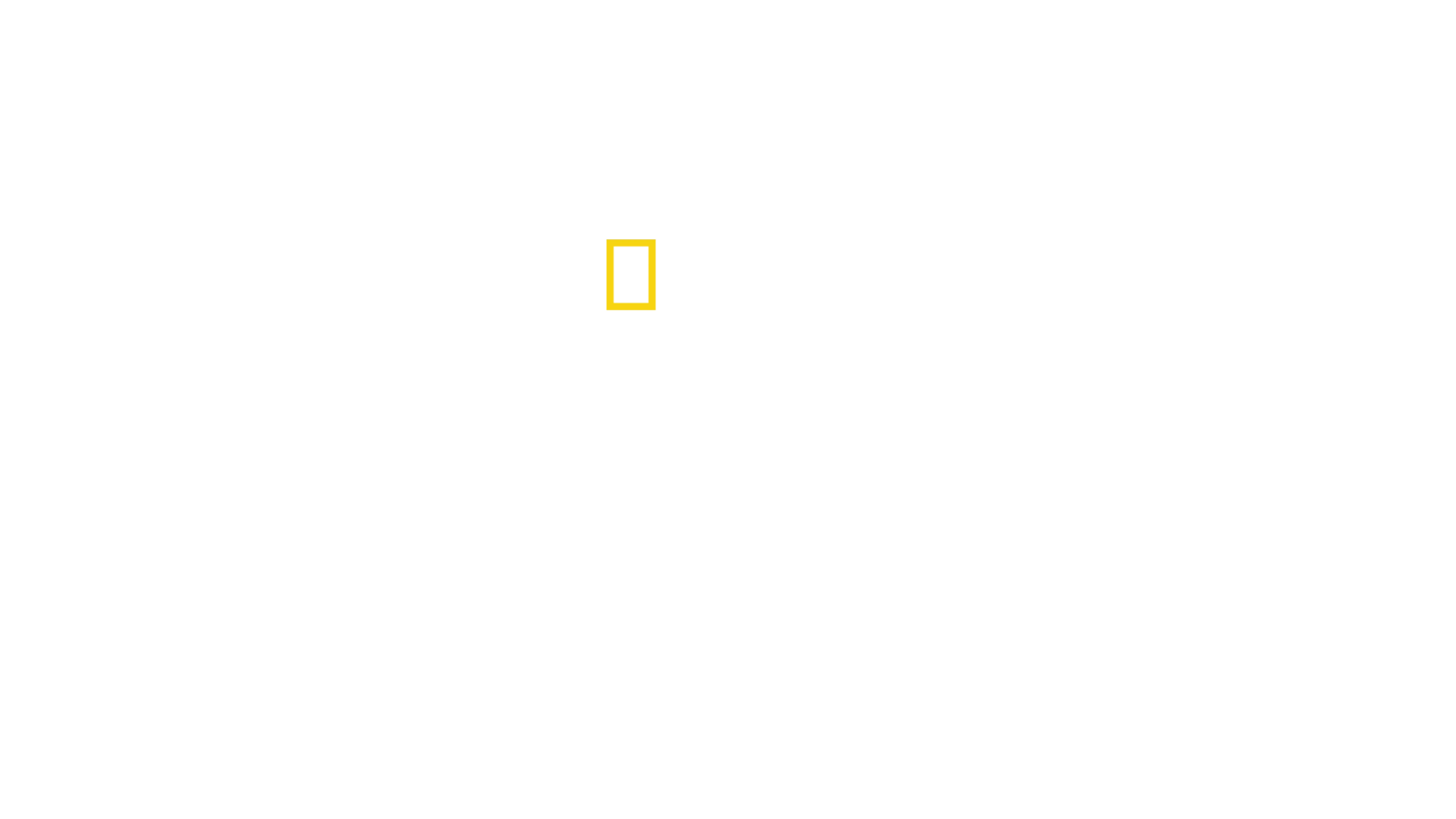 Csodálatos landolás a Hudson folyón