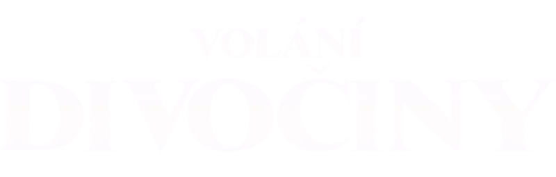 Volání divočiny