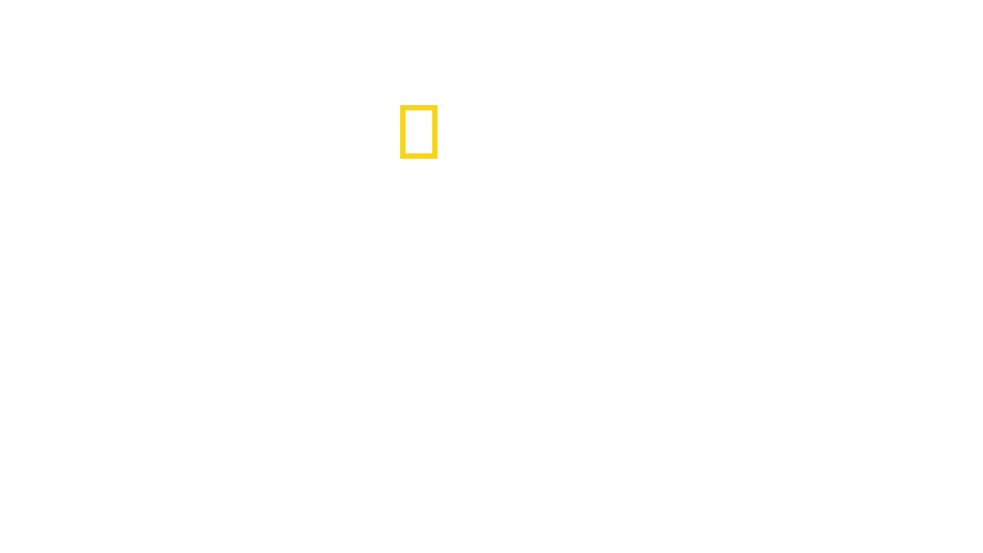 Patagonia Wings