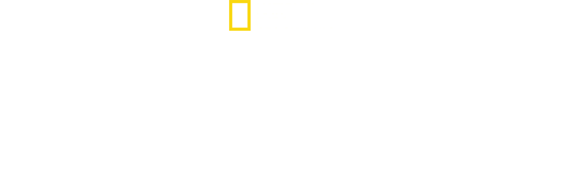 Patagonia Wings