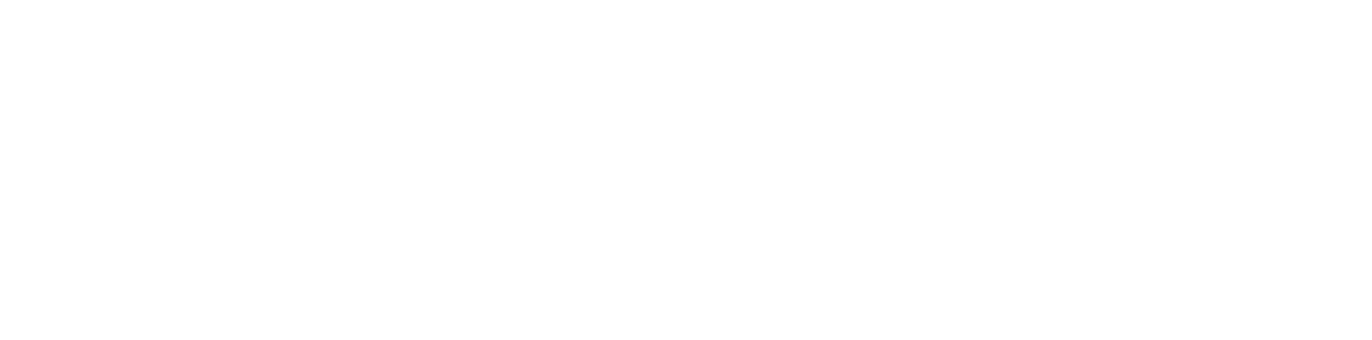 Viaje Salvaje